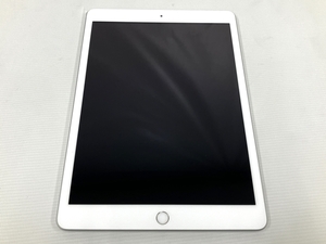 Apple iPad 第7世代 MW752J/A Wi-Fiモデル アイパッド アップル 中古 M8361930