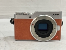 Panasonic DC-GF9W LUMIXG ダブルレンズセット カメラ パナソニック ジャンク C8399346_画像4