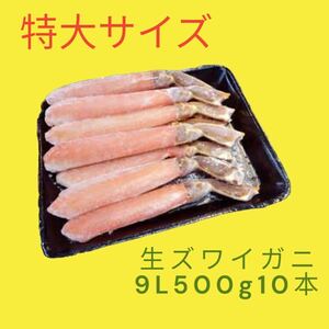 特大サイズ　ズワイガニ　ずわい蟹ポーション9L500g10本入り　生食用　冷凍