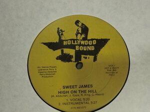 (B) LP レコード【何点でも同送料】SWEET JAMES / High On The Hill-Be Right There
