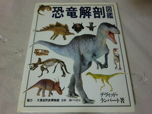 （M) 図鑑 大英自然史博物館/恐竜解剖図鑑 同朋社 デヴィッド・ランバート 著