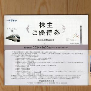 【訳あり】即決あり 東武 株主優待券 冊子タイプ×2冊セット 2024年6月30日まで ネコポス送料無料 東武動物公園 スカイツリー 割引券など