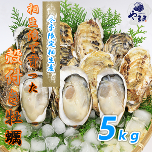 無選別　Sサイズ　相生市特産ぷりぷり殻付き牡蠣 殻つき牡蠣　５kg　生食可能　クール便　送料無料