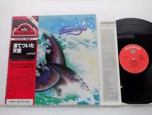 Novalis 「Flossenengel」LP（12インチ）/Telefunken(K22P-157)/洋楽ロック_画像1