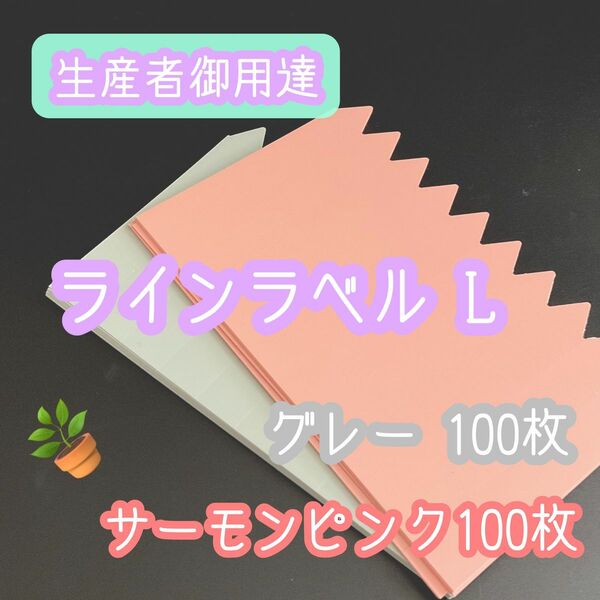 グレー＆サーモンピンク ◎各100枚 ◎ (大) ラインラベル 園芸ラベル カラーラベル