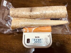 栃木県産 自然薯 560g 真空パック 現品特価