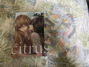 B140クリアファイル　citrus+　藍原柚子　藍原芽衣　特典　2枚セット　サブロウタ