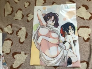 B021クリアファイル　 見たいもの見せましょう 亜桜まる とらのあな特典　水着