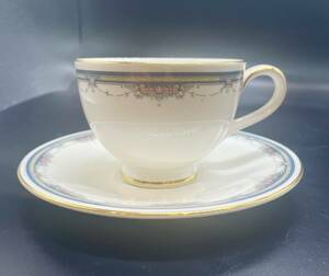 Royal Doulton Royal Doulton SALISBURY cup & saucer 1 customer / middle 11095