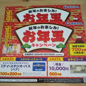 伊藤ハム懸賞応募 お年玉キャンペーン　現金10000円 数量2でユニバーサルスタジオジャパン1デイスタジオパスペア USJ