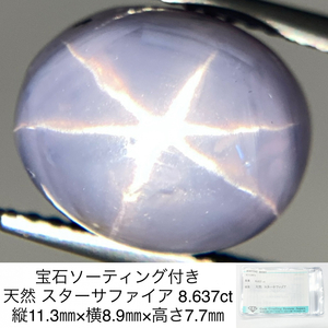 宝石ソーティング付き 天然 スターサファイア 8.637ct 縦11.3㎜×横8.9㎜×高さ7.7㎜ 3167Y