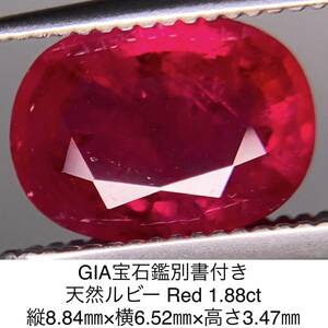 GIA宝石鑑別書付き 天然 ルビー　Red 1.88ct 縦8.84㎜×横6.52㎜×高さ3.47㎜ 561Y