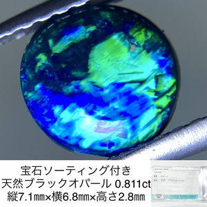 宝石ソーティング付き 天然 ブラックオパール 0.811ct 縦7.1㎜×横6.8㎜×高さ2.8㎜ 3199Y