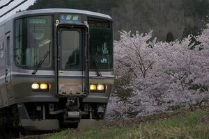 鉄道写真 223系 電車 福知山行き @山陰本線 胡麻 - 鍼灸大学前 KG判（102mm×152mm）