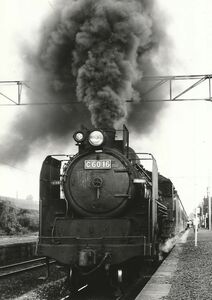 鉄道写真 SL C60 16 @鹿児島本線 湯之元 昭和44年 L判（89mm×127mm）