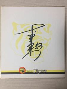 Art hand Auction 阪神老虎队 53 赤星新秀年签名队原创彩纸, 棒球, 纪念品, 相关商品, 符号