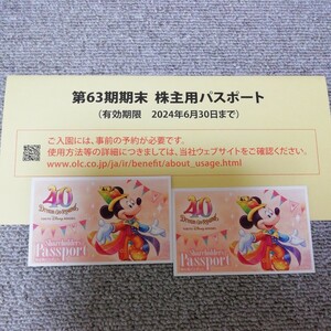 ★東京ディズニーリゾート 株主用パスポート2枚セット 2024年6月30日まで有効 ★