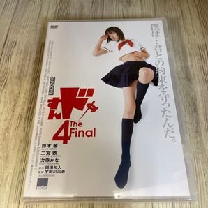 スタ144 新品未開封 DVD すんドめ4 鈴木茜 二宮敦 次原かな