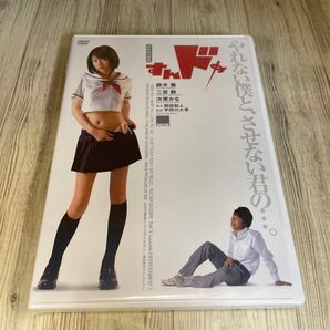 スタ170 すんドめ 鈴木茜 二宮敦 次原かな 新品未開封 DVD
