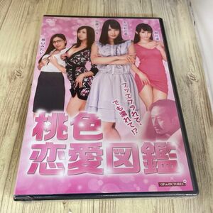 スタ100 新品未開封　DVD R-15 桃色恋愛図鑑／友田彩也香