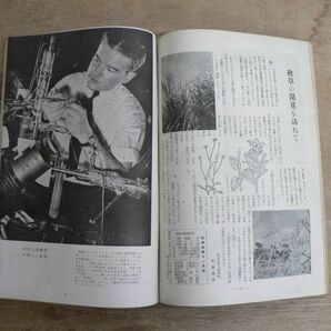 戦前 科学画報 第30巻第11号 昭和16年11月号 1941年 誠文堂新光社 運輸機関にある問題 模型をつくる技術と精神の画像7