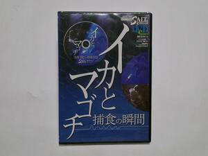 ■ ソルト&ストリーム　イカとマゴチ捕食の瞬間　　特別付録DVD　2014年7月号