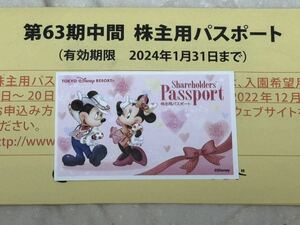 ディズニーリゾート 株主用パスポート 2024年1月31日まで 日付未指定②