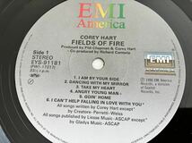 コリー・ハート Corey Hart / Fields Of Fire 帯付LP EMI EYS91181 86年3rd,好きにならずにいられない,Elvis Presleyカヴァー,インナー付_画像6