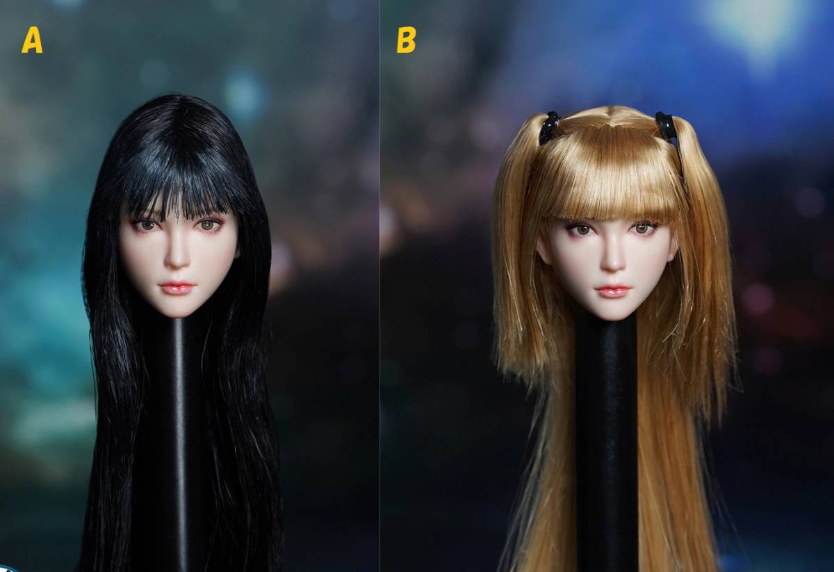 ★ 1/6 Action Figure Custom Head 2 Types to Choose Beautiful Girl Beautiful Head ★ General Purpose Figure 1/6 Hair Planted Female 12 inch E570, doll, Character Doll, Custom Doll, others
