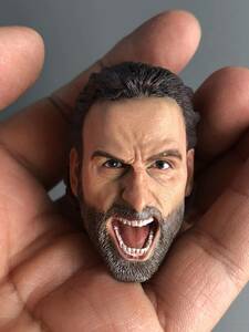 Art hand Auction Custom Action Figure Replacement Head 1/6 Roar Rick Generic PVC Custom Handmade Head Male Body 12 inch F597, doll, Character Doll, Custom Doll, others