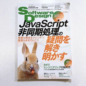 ソフトウェアデザイン 2023年9月号 TypeScriptプログラマーも必見　JavaScript非同期処理の疑問を解き明かす