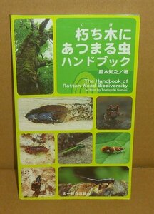 昆虫2009『朽ち木にあつまる虫ハンドブック』 鈴木知之 著