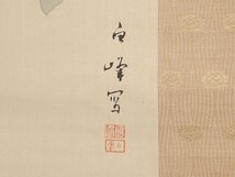 【五】掛軸 白峰 『牡丹に鳩図』 絹本 彩色 箱付_画像8