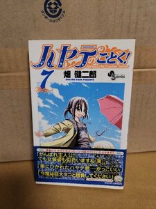 小学館サンデーコミックス『ハヤテのごとく！＃７』畑健二郎　初版本/帯付き