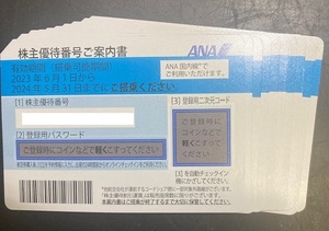 ANA株主優待券◆10枚セット◆有効期限2024年5月31日　②