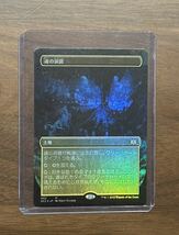 【即日発送】 MTG 土地/日本語版 拡張アート foil 魂の洞窟 / Cavern of Souls ダブルマスターズ2022 2X2 送料無料_画像1