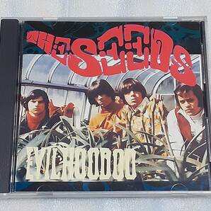 THE SEEDS/EVIL HOODOO 輸入盤CD US GARAGE サイケ 88年編集盤 SKY SAXONの画像1