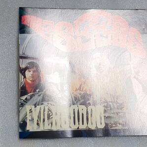 THE SEEDS/EVIL HOODOO 輸入盤CD US GARAGE サイケ 88年編集盤 SKY SAXONの画像5