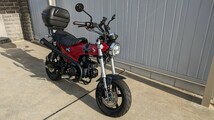 埼玉発！低走行！令和5年式！ホンダ DAX125 ダックス125 ST125　カスタム総額25万円超_画像4