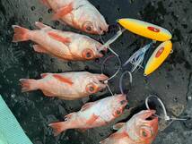 インチク 310g スモールシルエット、スローアクションで深海のアカムツ、根魚などに効く 蛍光オレンジ ！（送料370円）_画像6