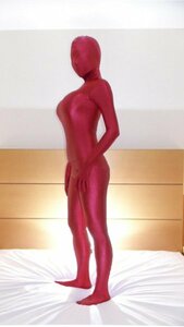 ZENTAI コスプレ 戦隊 男性サイズ・エンジ全身タイツ