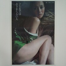 『雑誌グラビア ラミネート加工』O-781『坂井真紀 可憐と円熟 女優という人生』 週刊現代 2023年9月2日発行 B5 4枚8ページ ※15_画像3