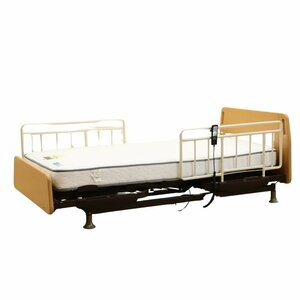 020605k France Bed electric bed less Tec Hsu 01F bed frame TRG26-I 3 motor mattress S nursing for 