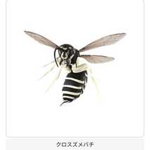 バンダイ すずめばち01 2種類 キイロスズメバチ クロスズメバチ 新品 リアルフィギュア 大きい 昆虫 ディスプレイ_画像4