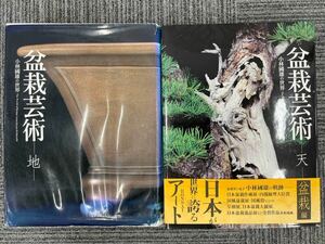 ★年末1,000円セール★「盆栽芸術 天 地 小林國雄の世界」 美術年鑑社★2冊セットまとめて★盆栽 水石★書籍★