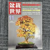 ★初売り1,000円 まとめてセット③★「盆栽世界」★29冊★2007-2020年★エスメディア★盆栽 水石★書籍★_画像2