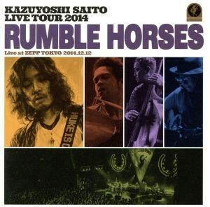 ＫＡＺＵＹＯＳＨＩ　ＳＡＩＴＯ　ＬＩＶＥ　ＴＯＵＲ　２０１４“Ｒｕｍｂｌｅ　Ｈｏｒｓｅｓ”Ｌｉｖｅ　ａｔ　ＺＥＰＰ　ＴＯＫＹＯ　２