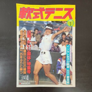 軟式テニス 1987年 1月 ベースボールマガジン社 山梨かいじ国体ほか　