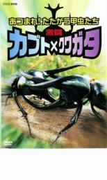 激闘 カブト×クワガタ あつまれ!たたかう甲虫たち レンタル落ち 中古 DVD