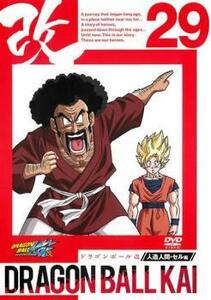 ドラゴンボール改 29 レンタル落ち 中古 DVD